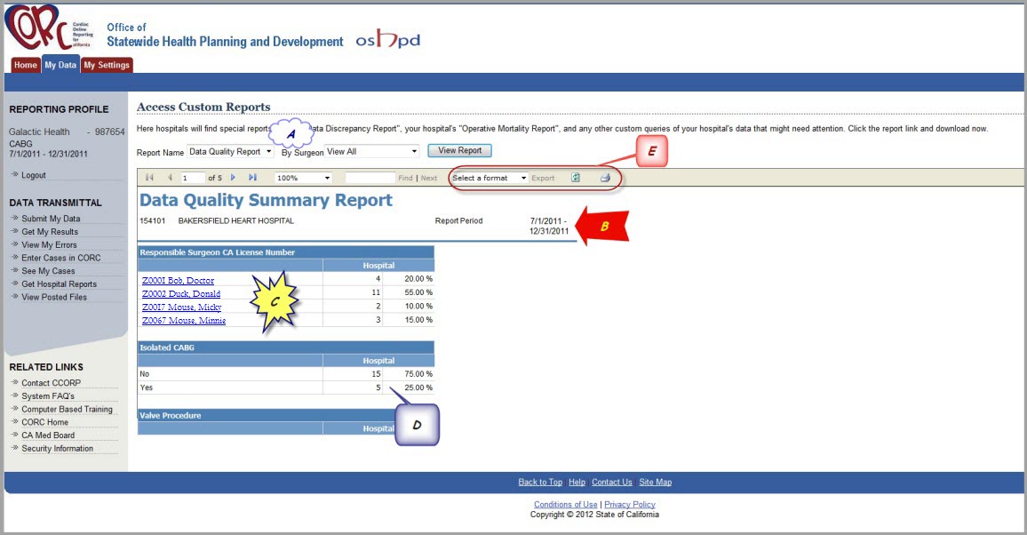 Custom Reports